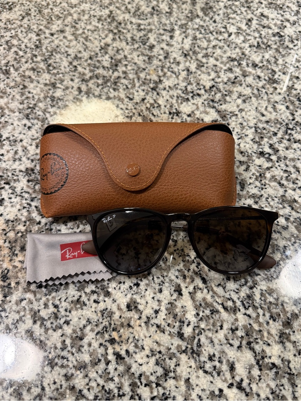 Ray-Ban Erika Sunglasses